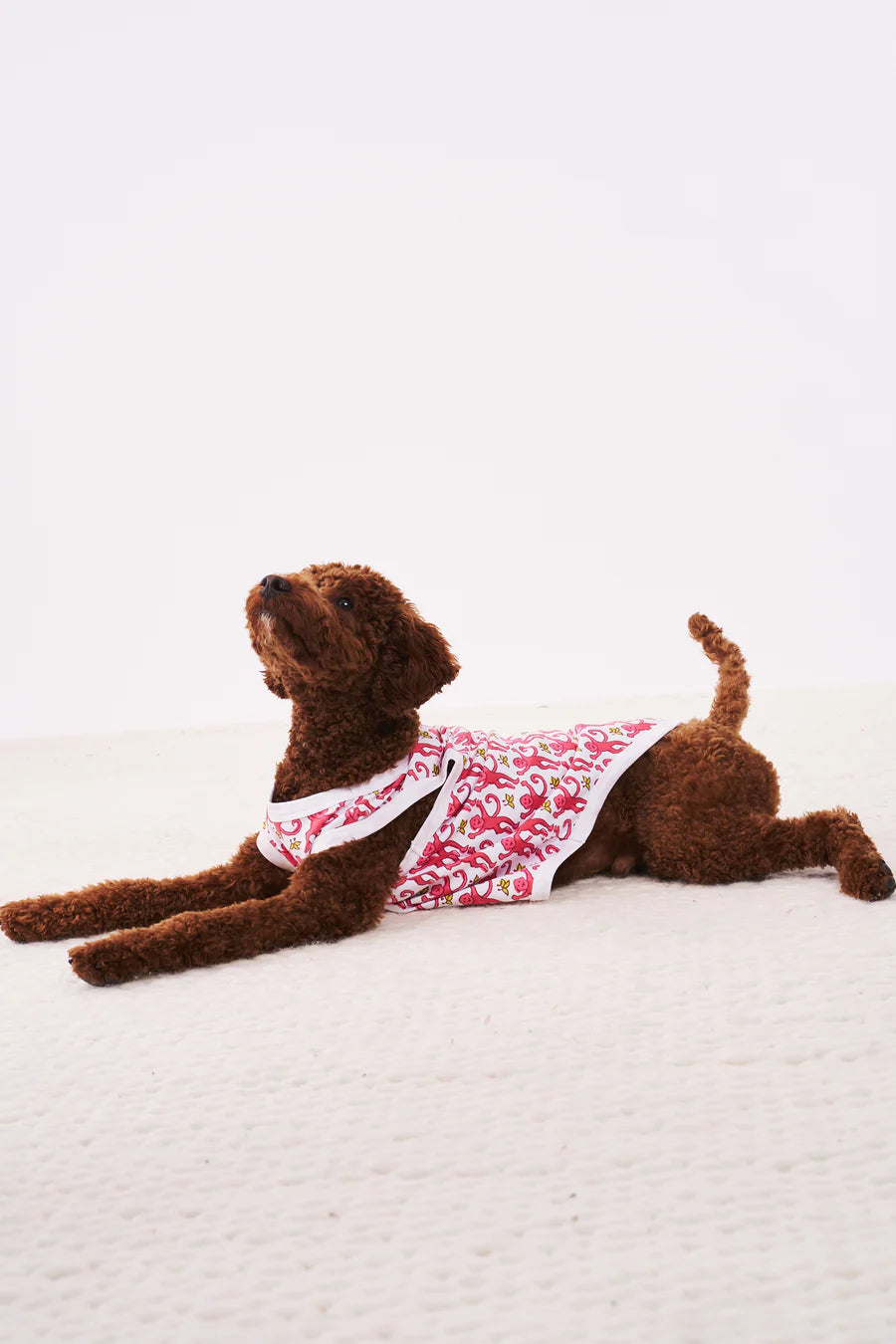 Monkey Dog Pajamas