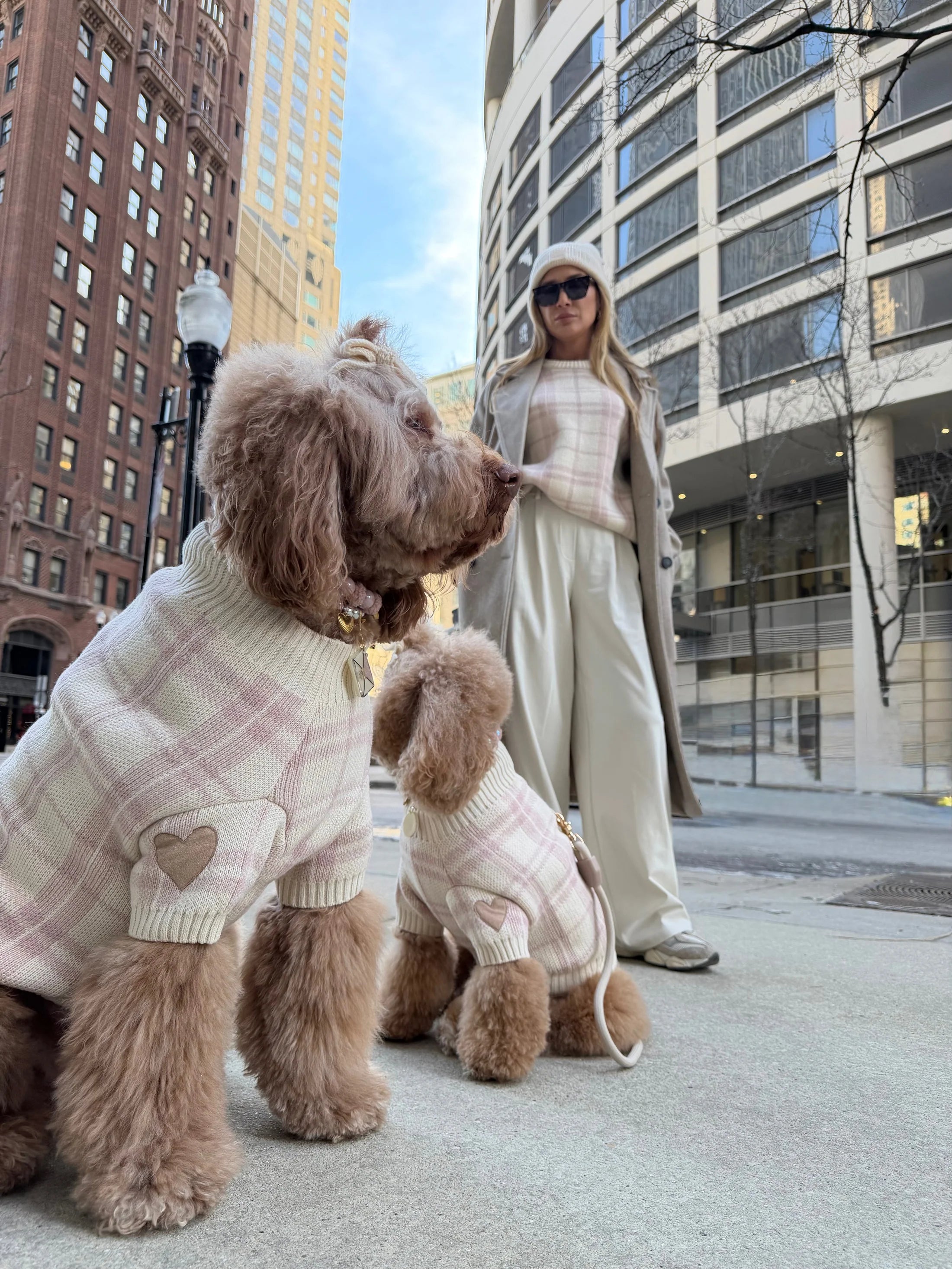 Hearthmauve Dog Sweater
