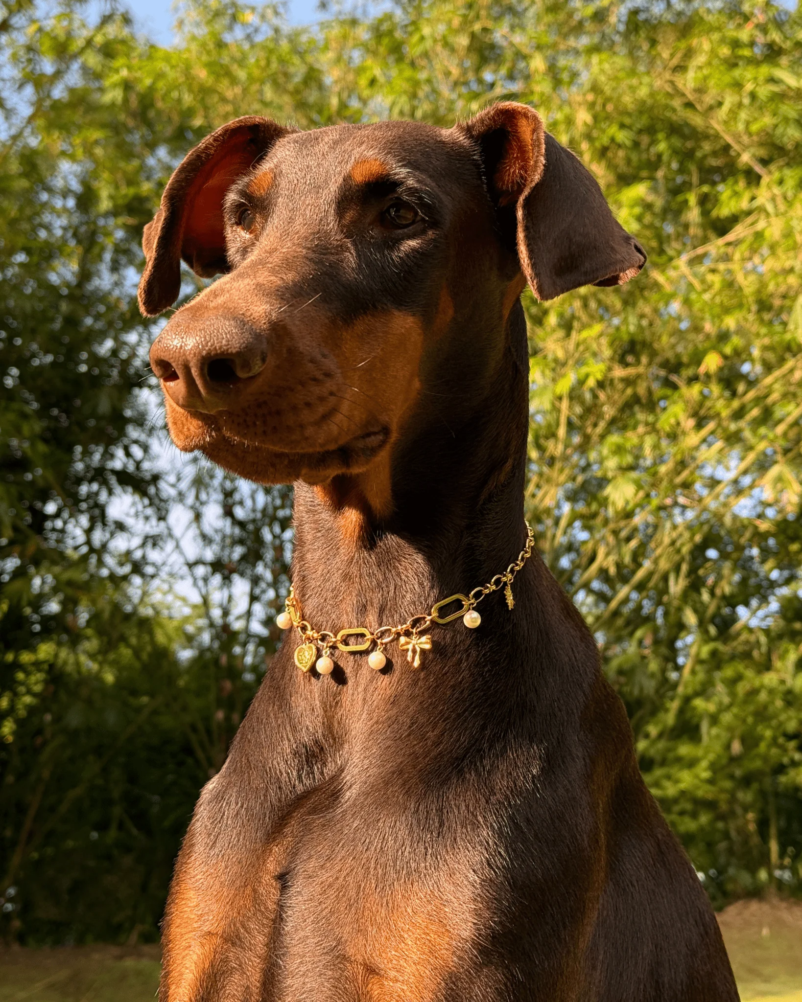 Amelia Necklace