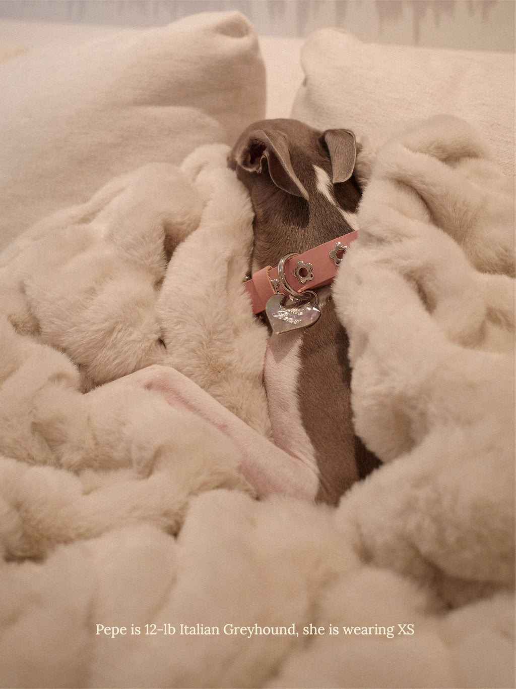 Audrey - Flower Power Collar