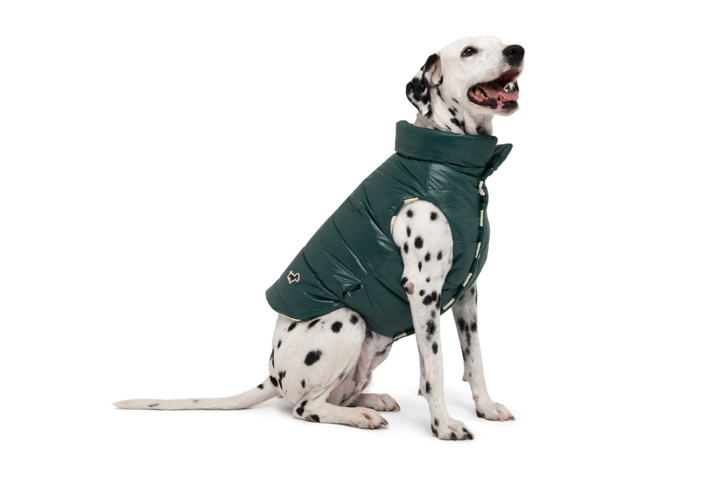 BOOM GILET