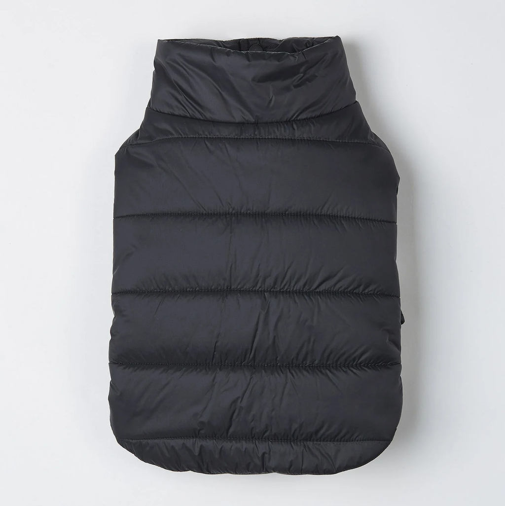 Button up Puffer Jacket