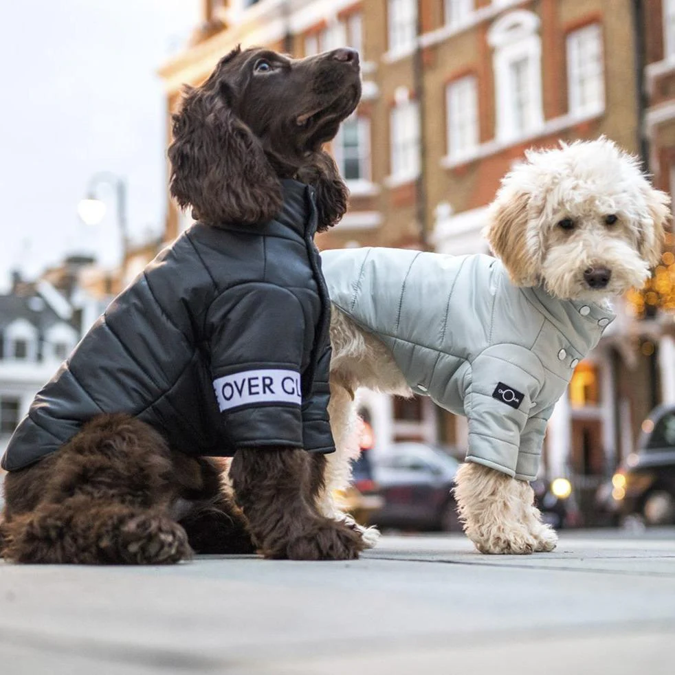 Button up Puffer Jacket