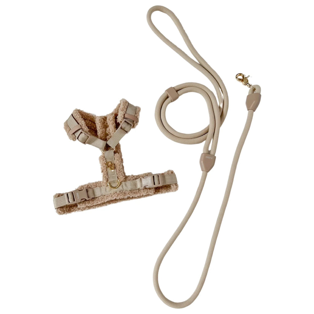 Comfort Teddy Harness/Leash Set- Toffee