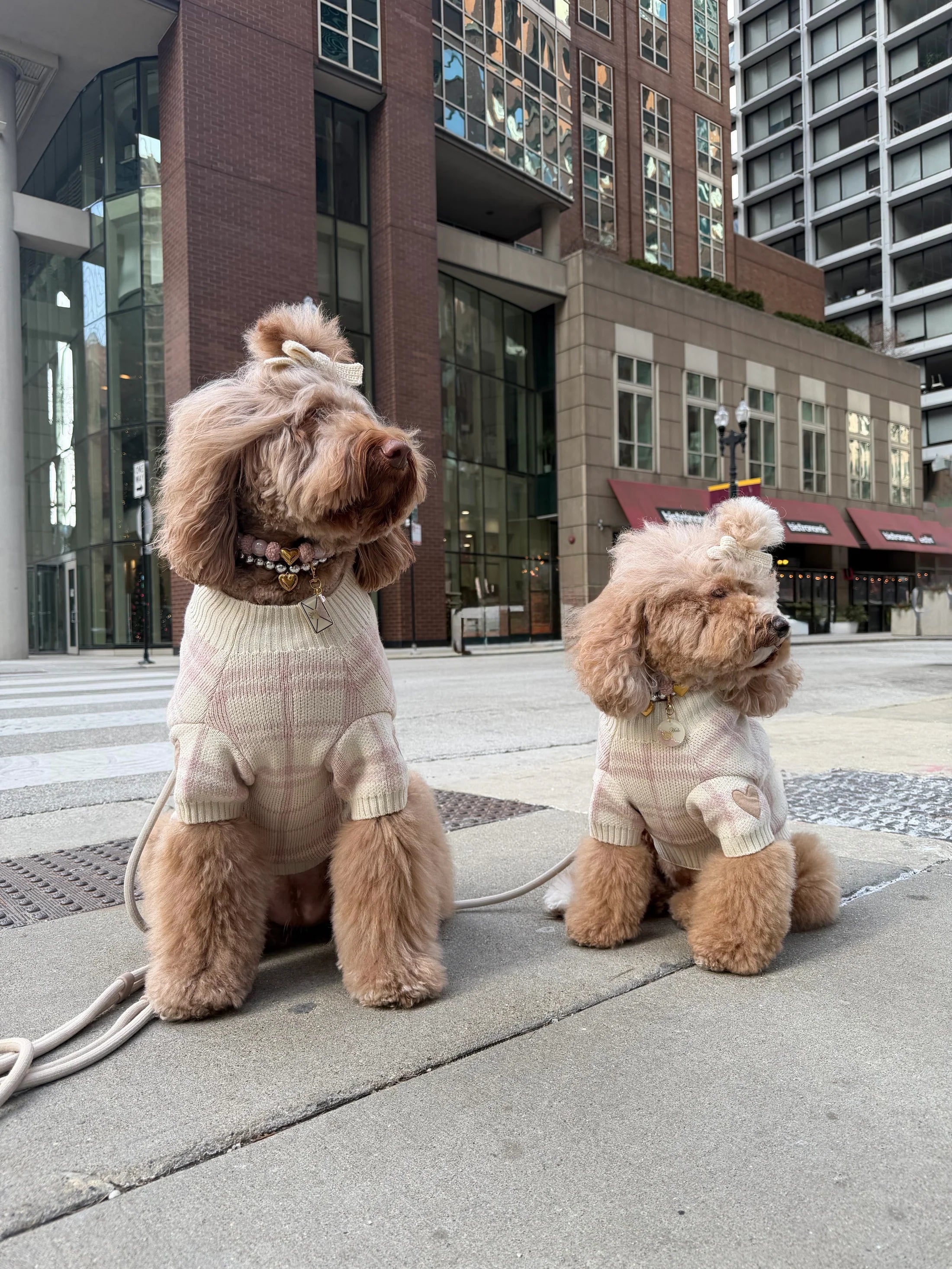 Hearthmauve Dog Sweater