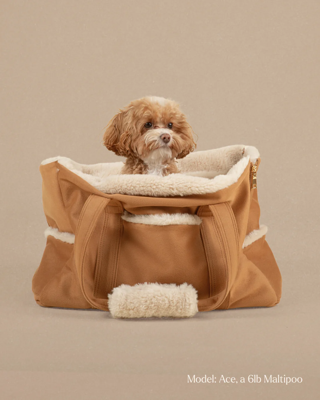 Caramel Tote