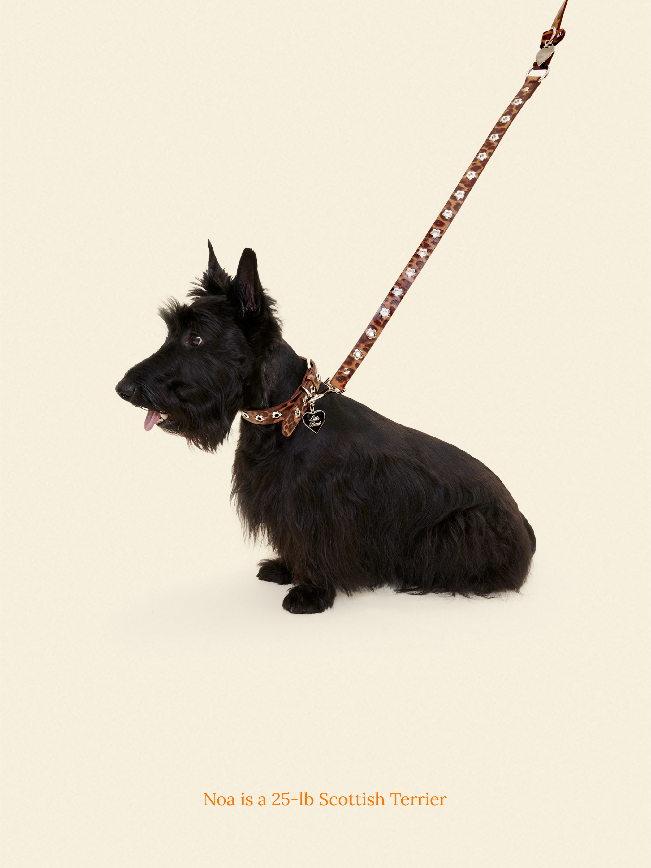 Cougar - Flower Power Leash