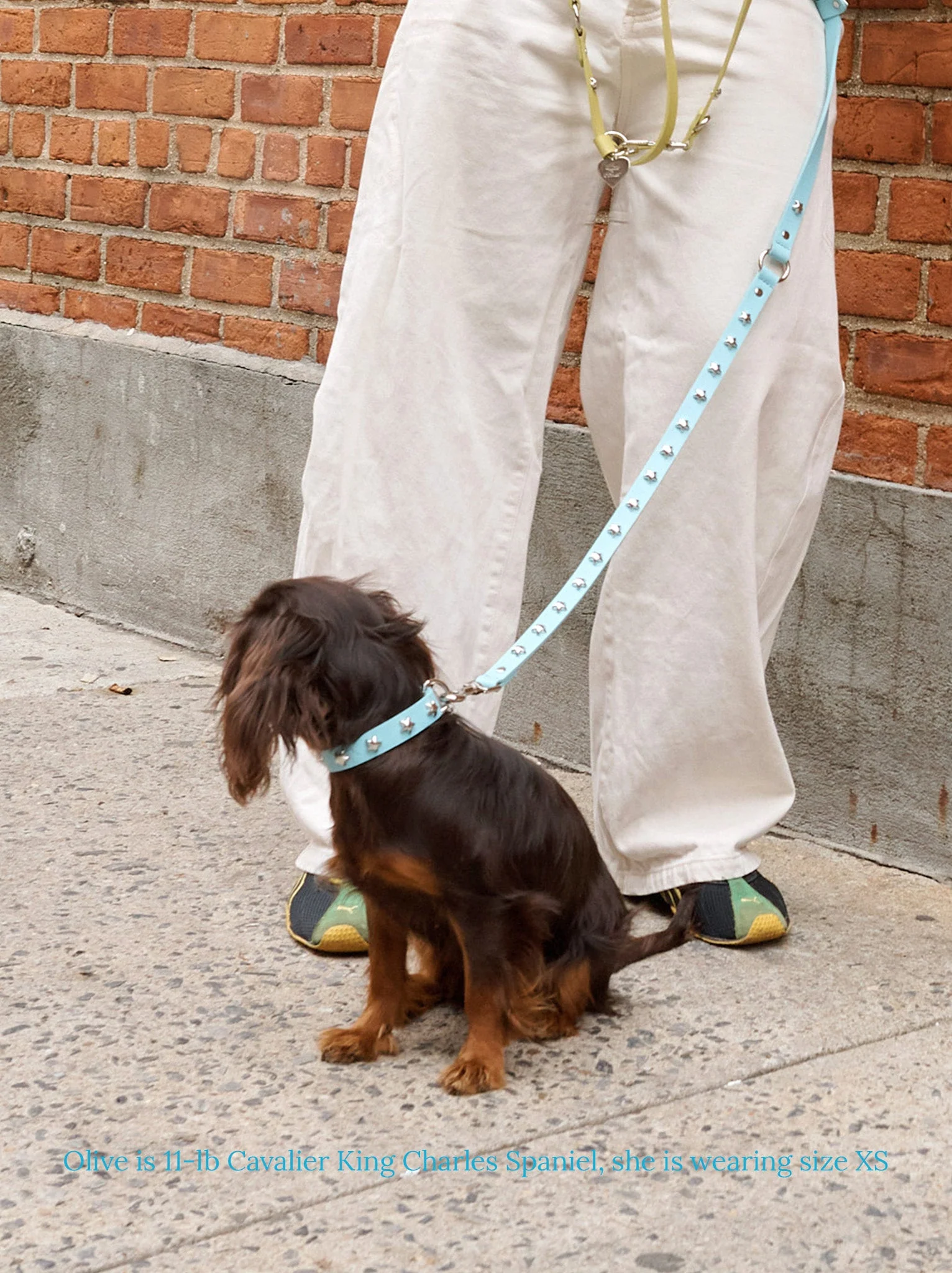 Cowboy Collar - Baby Blue