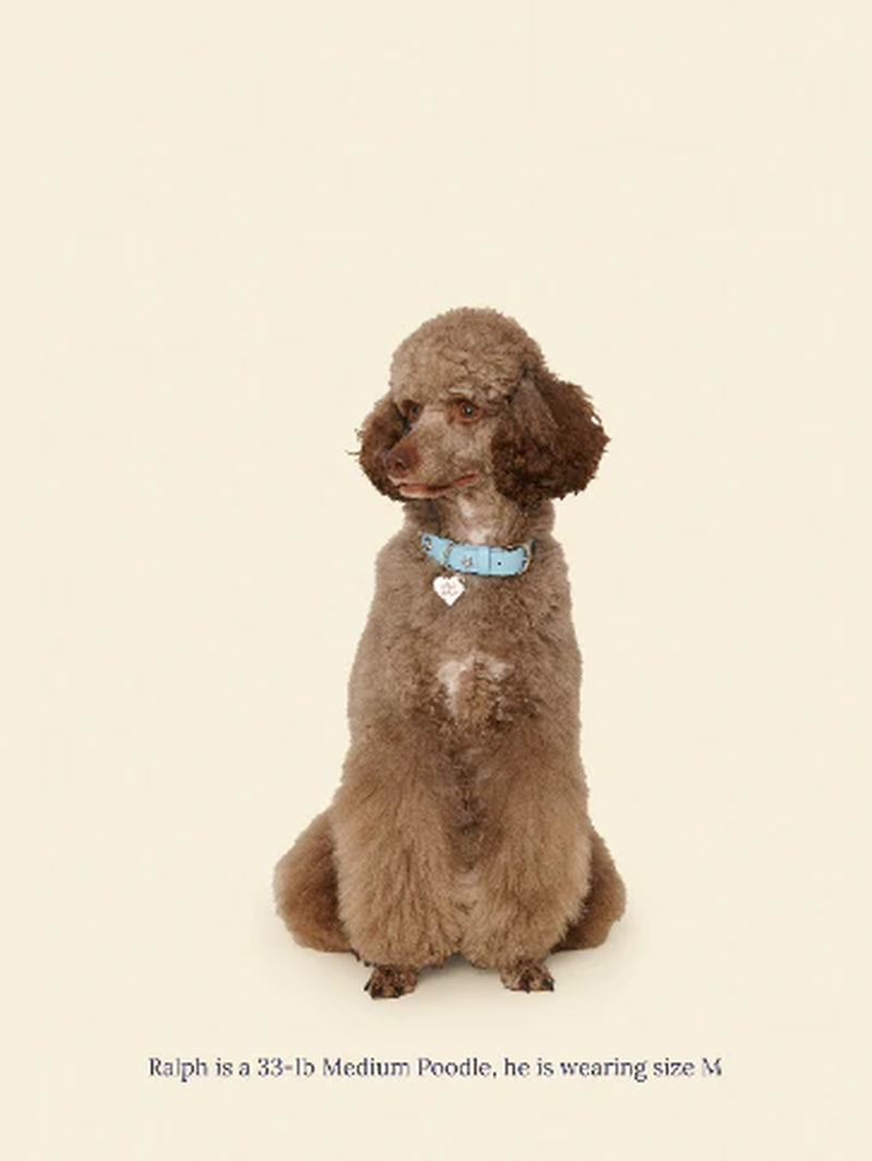 Cowboy Collar - Baby Blue