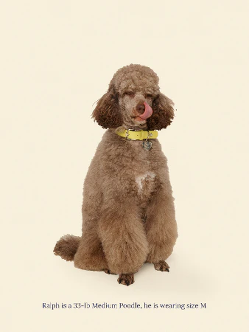 Cowboy Collar - Olive