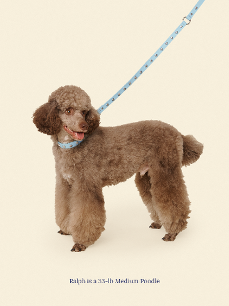 Cowboy Leash - Baby Blue