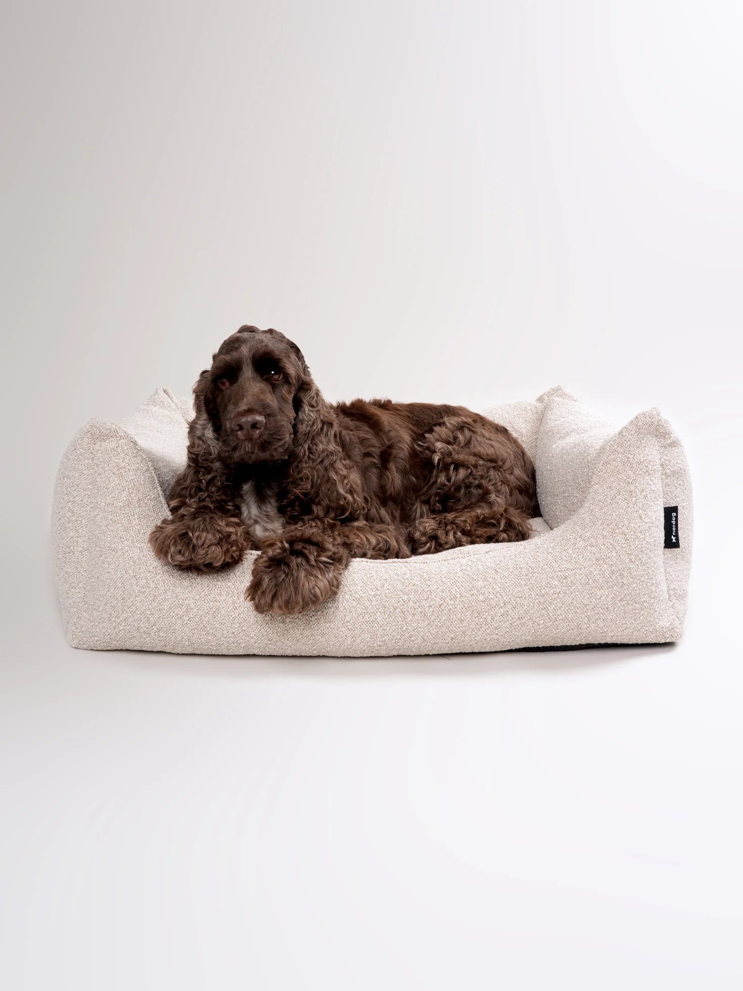 BILLY Bouclé Dog Bed Beige