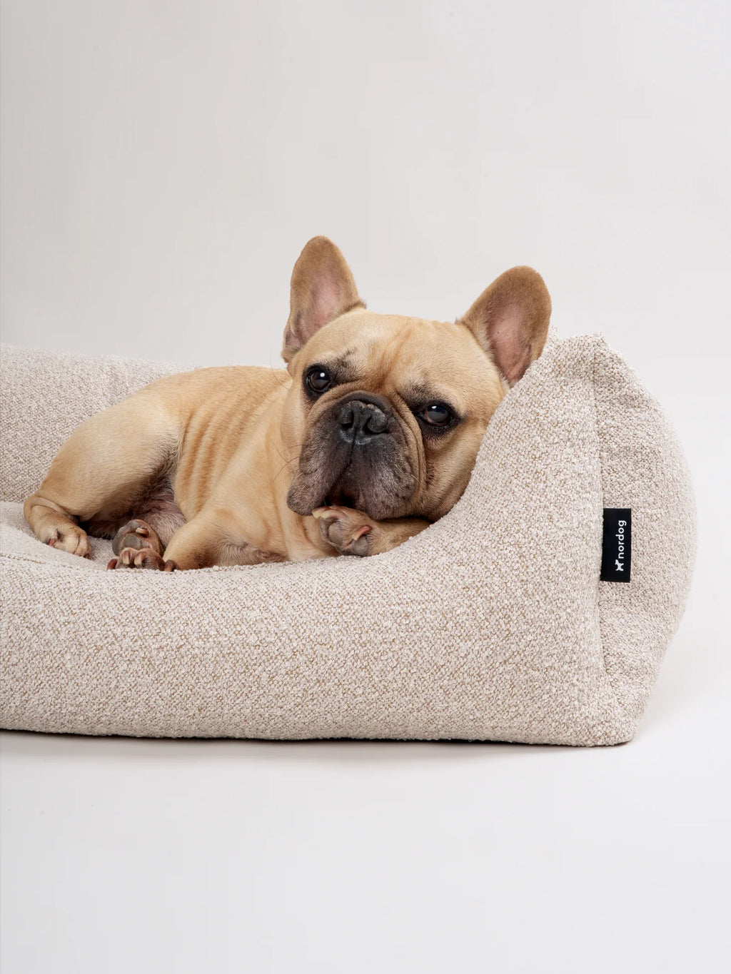 BILLY Bouclé Dog Bed Beige