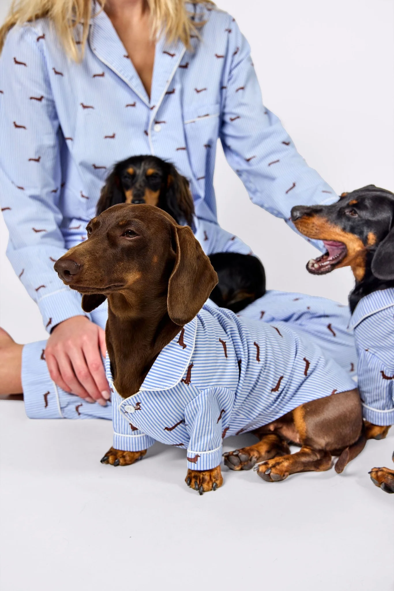 Dachshund Matching Pajama Set – Blue & White