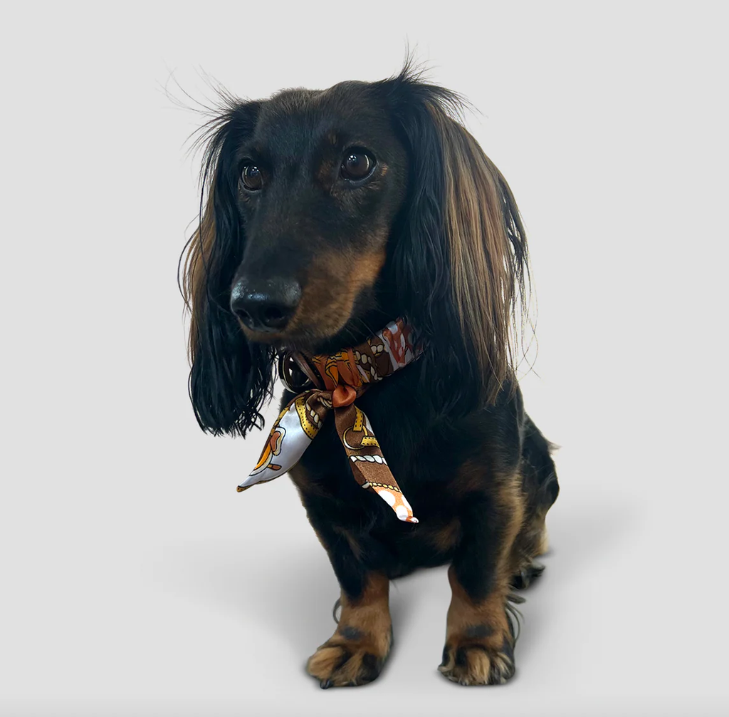 Dog Collar Twilly Classy - Cognac