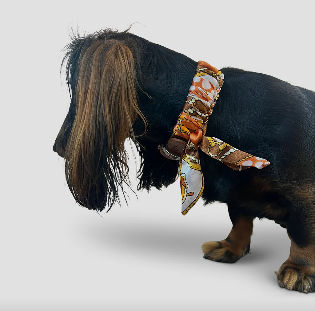 Dog Collar Twilly Classy - Cognac