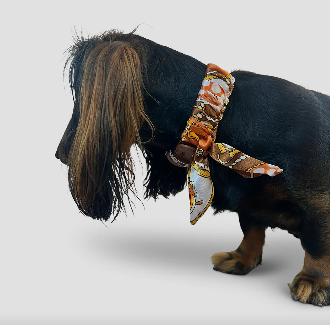 Dog Collar Twilly Classy - Cognac