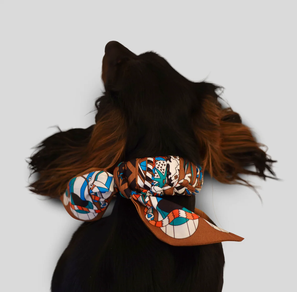 Dog Collar Twilly Paris Éclat