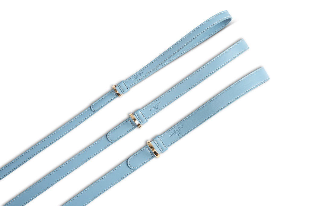 Dog Leash Classy Ice - Gold