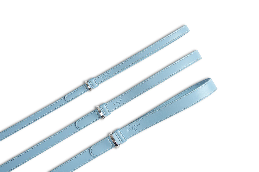 Dog Leash Classy Ice - Silver