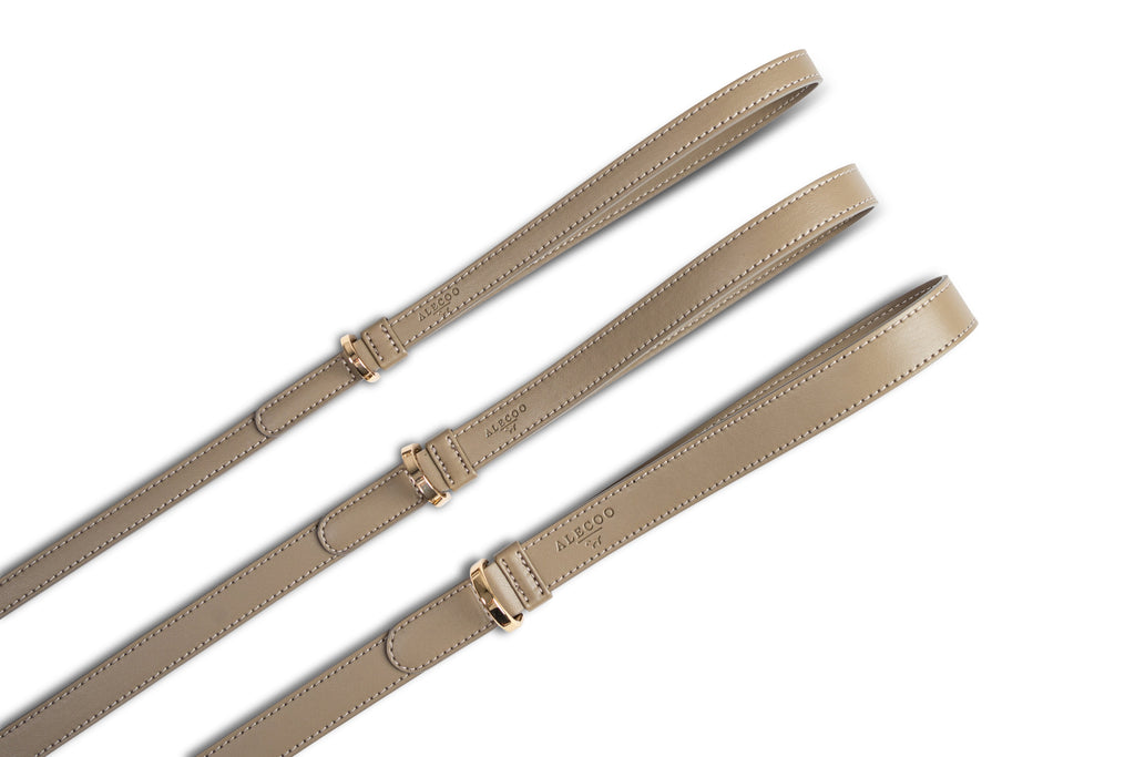 Dog Leash Classy Sand - Gold