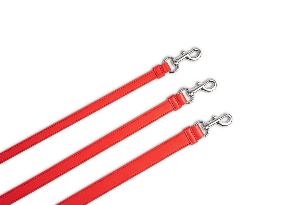Dog Leash Classy Sunset - Silver