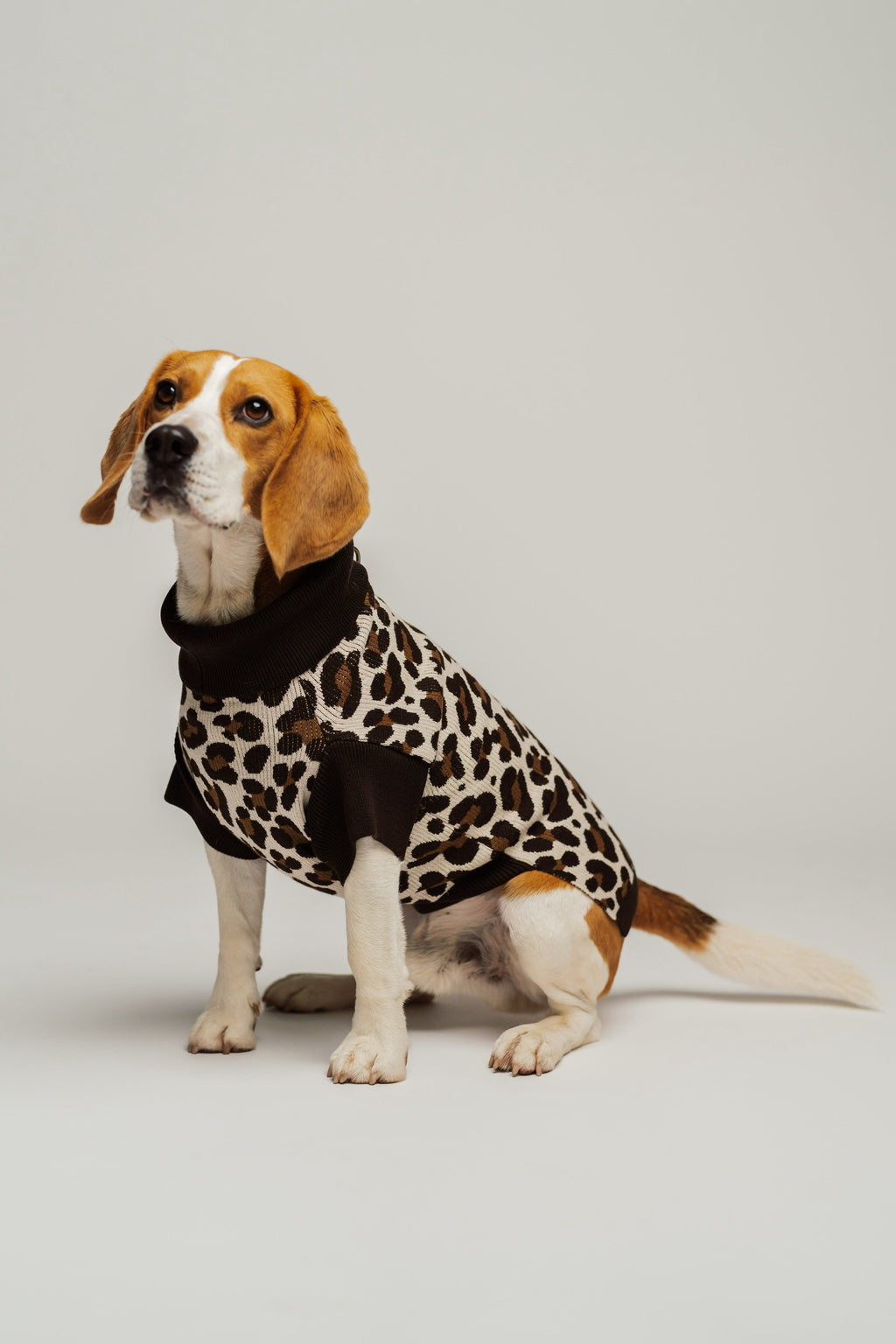 Dog Sweater Animal Print