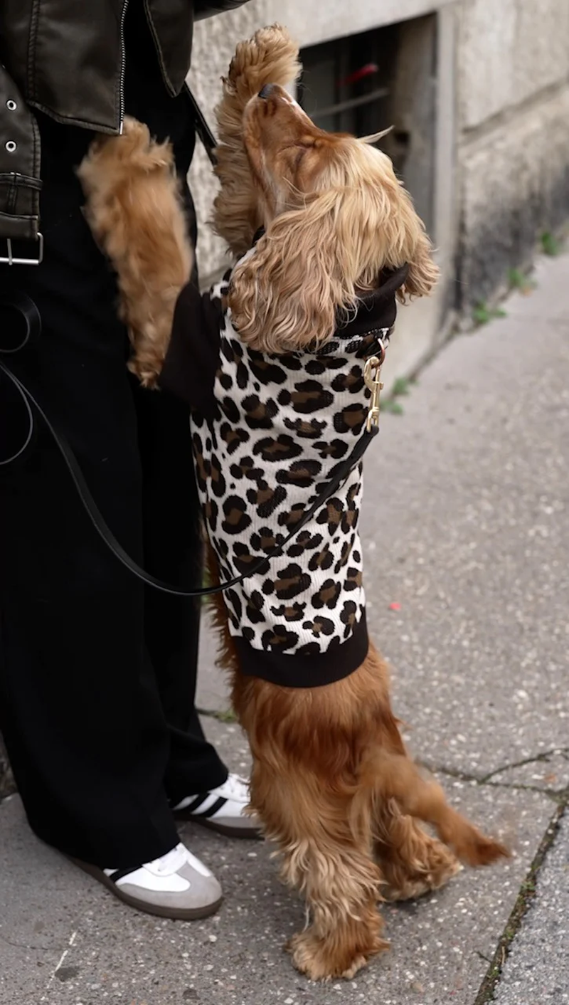 Dog Sweater Animal Print