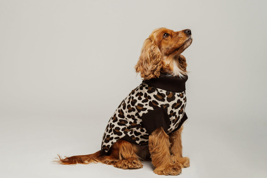 Dog Sweater Animal Print