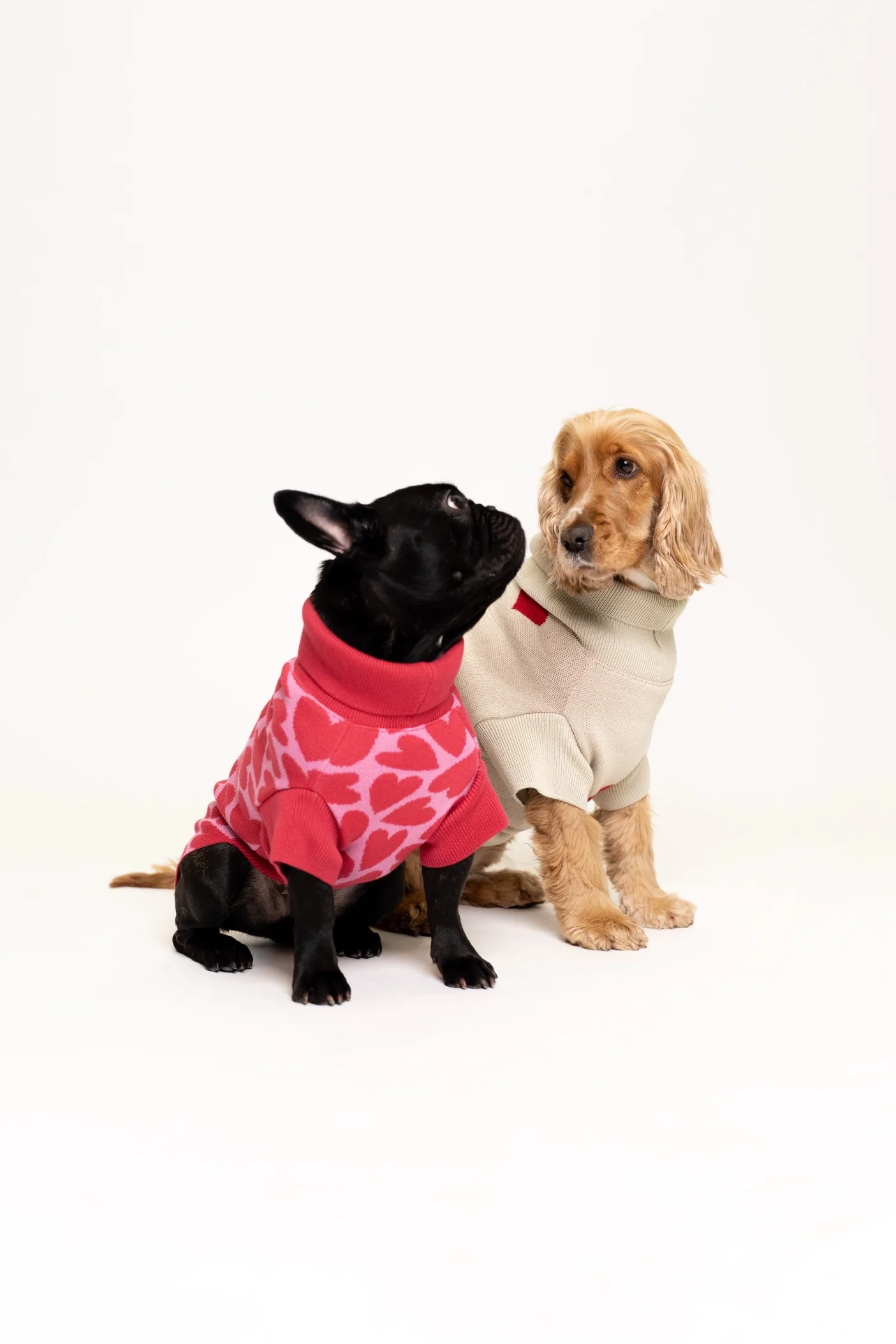 Dog Sweater Red Hearts