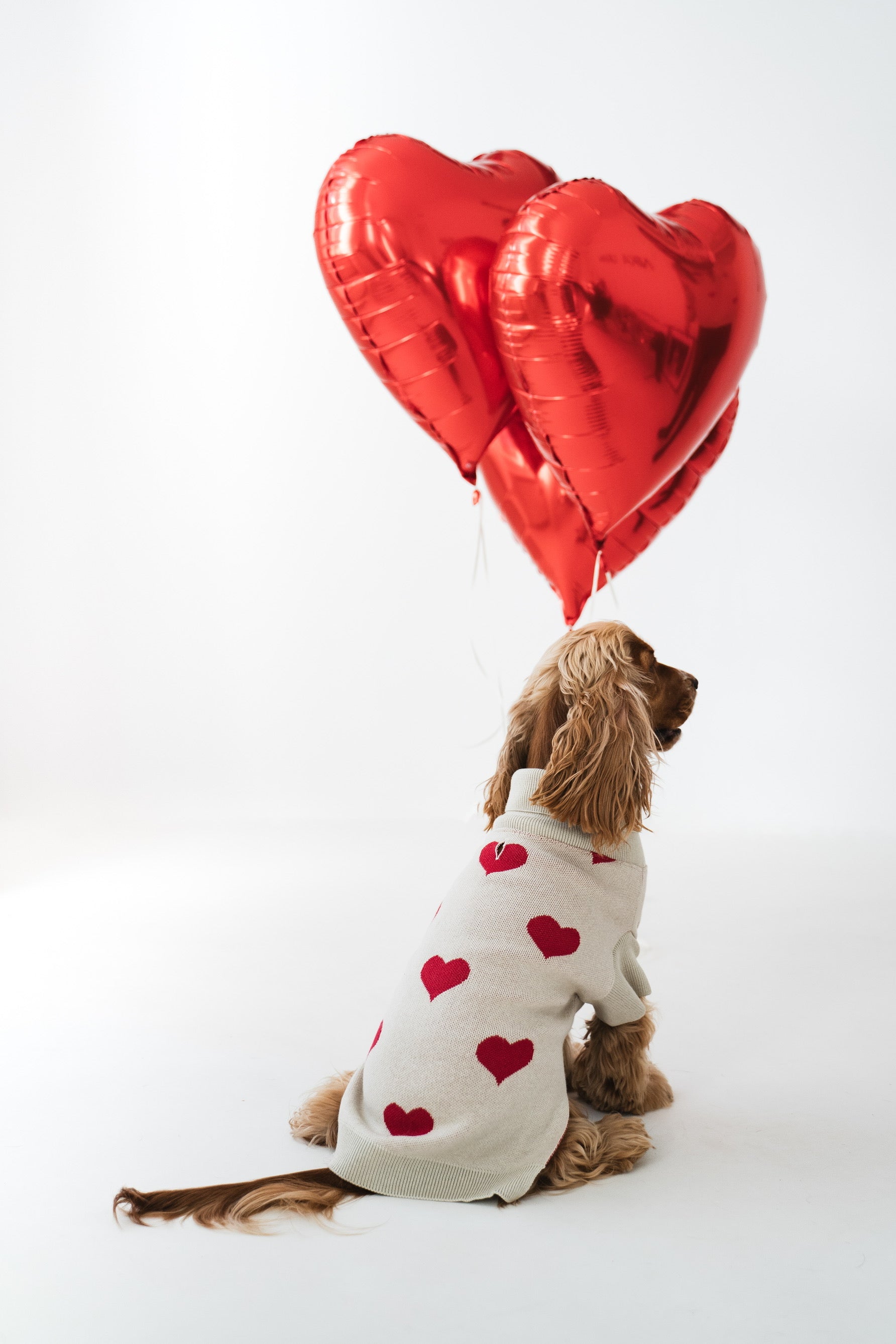 Dog Sweater Red Hearts