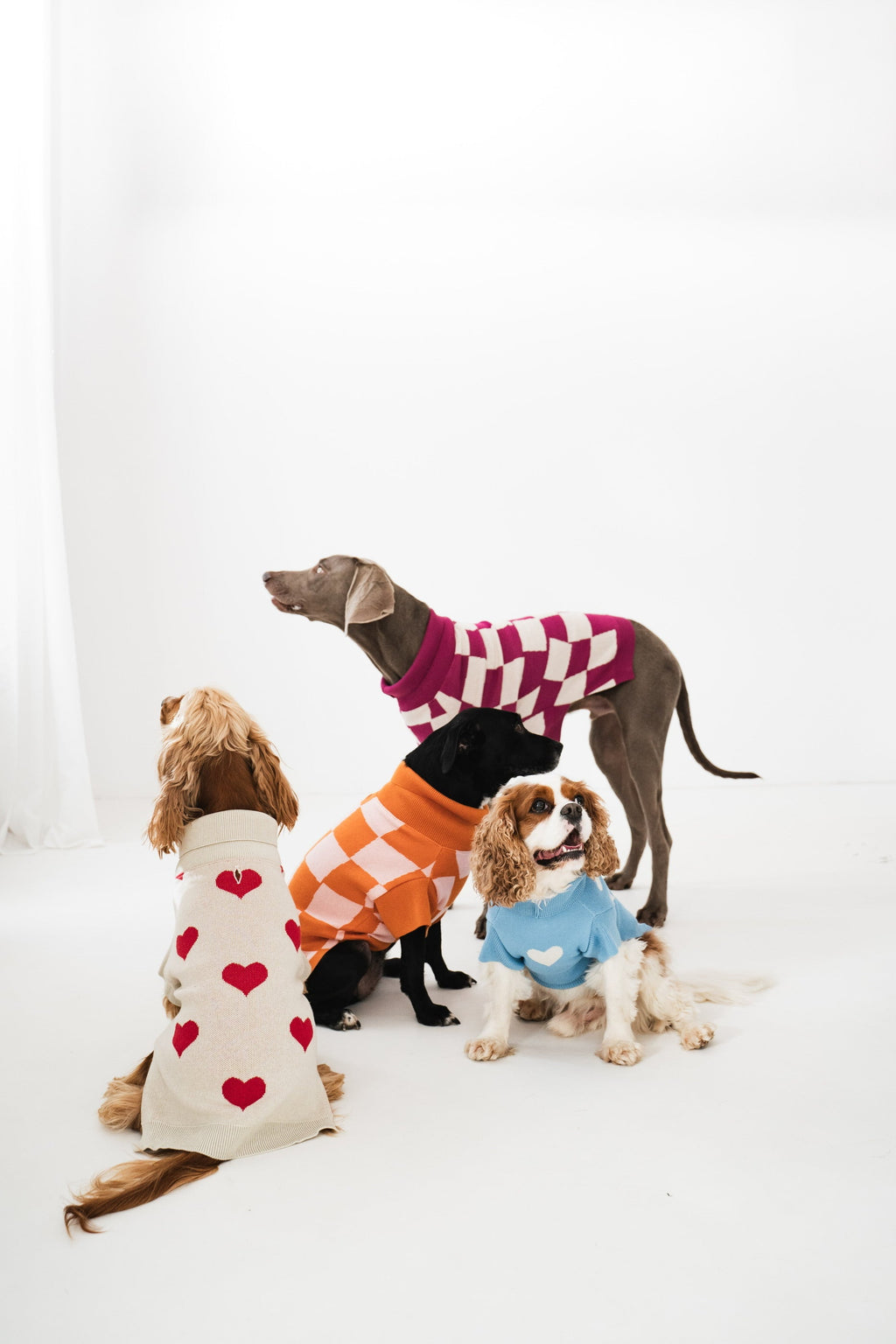 Dog Sweater Red Hearts