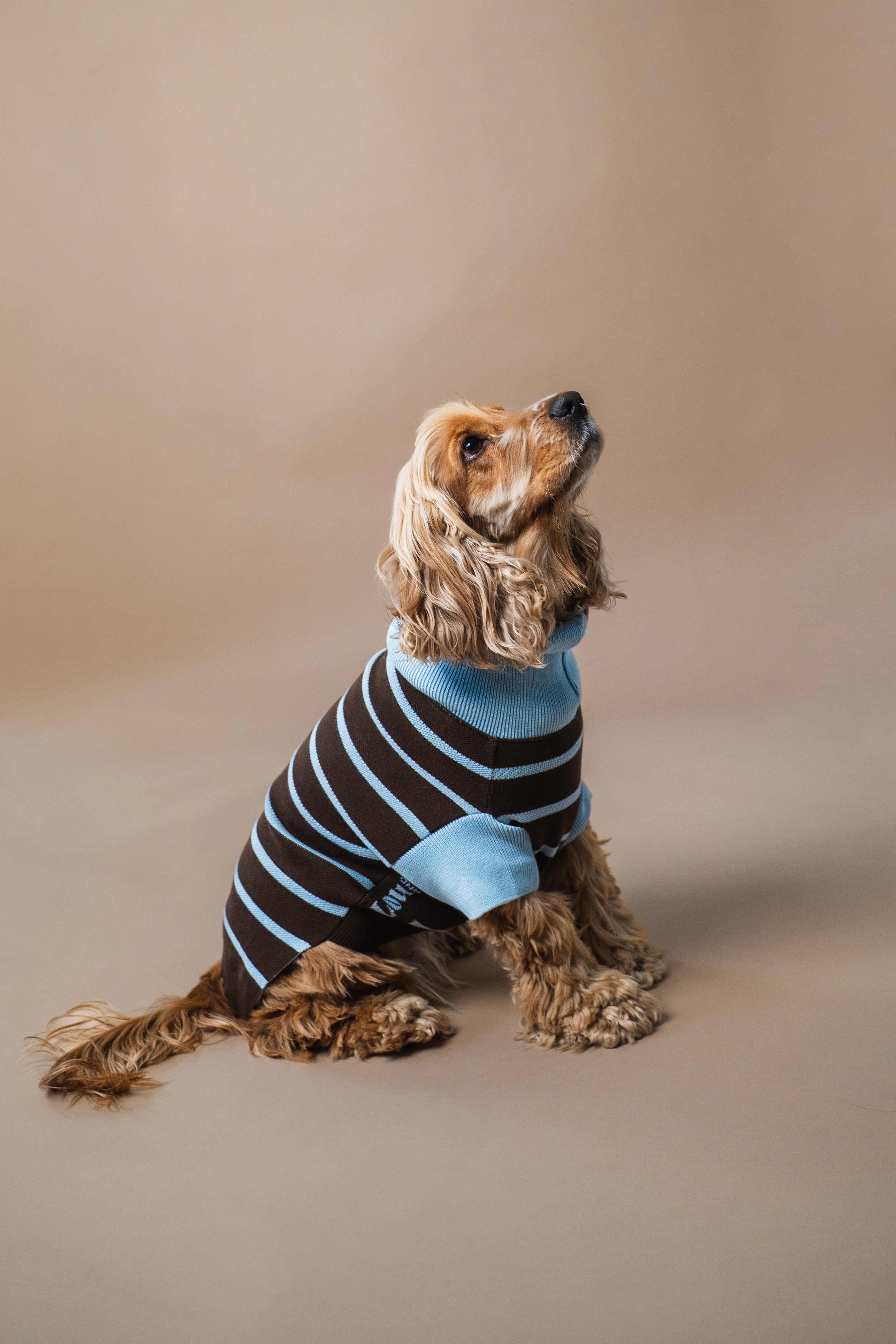 Dog Sweater Stripes