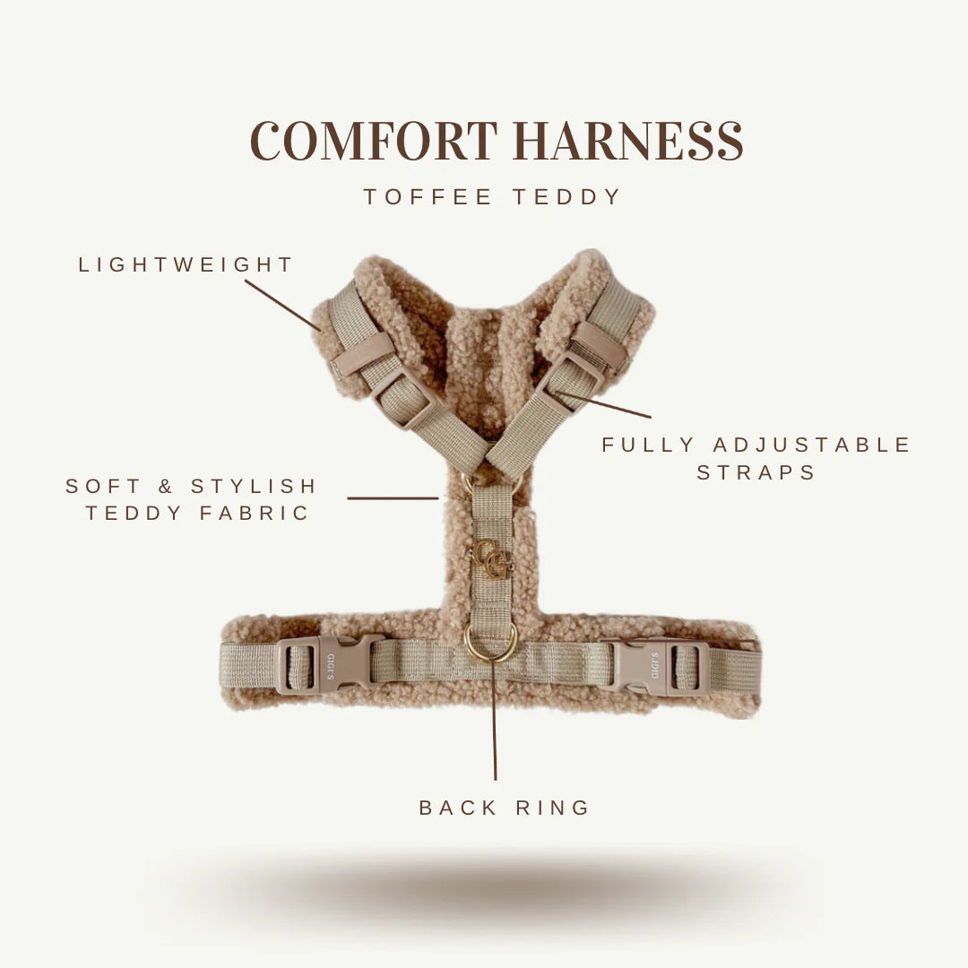 Comfort Teddy Harness/Leash Set- Toffee