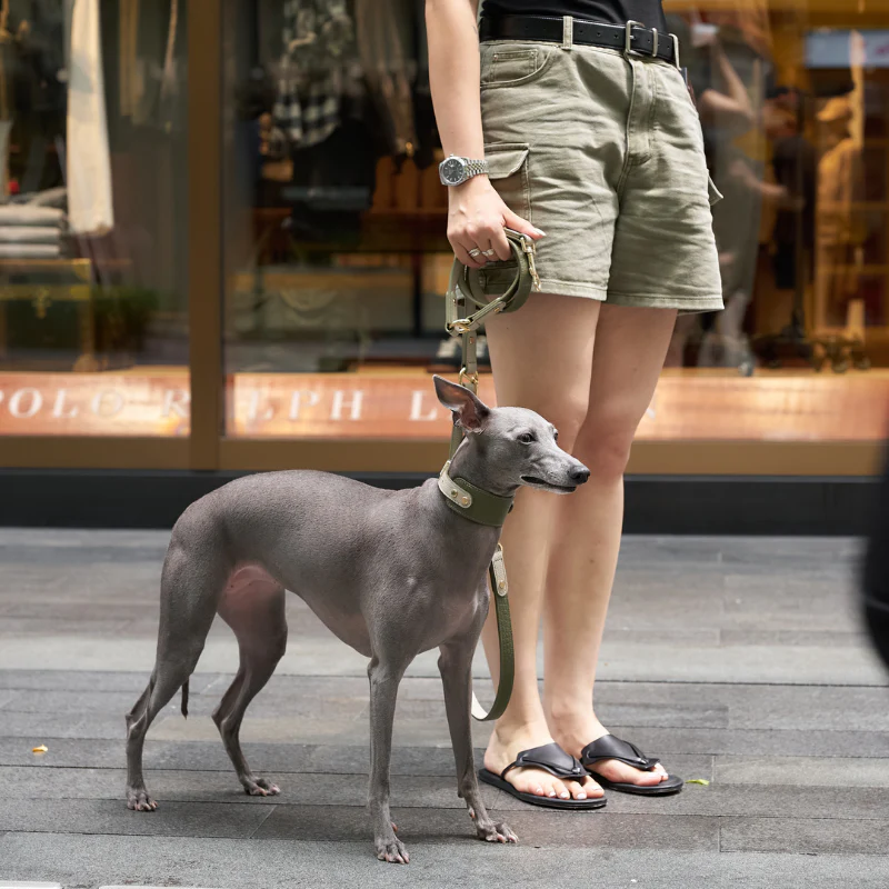 Emerald Hands-Free Dog Leash