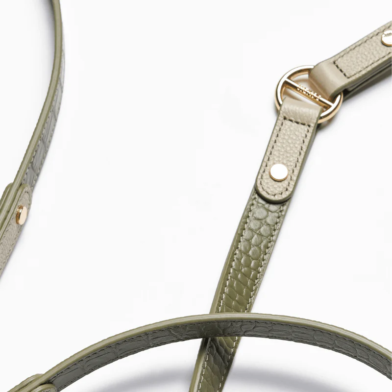 Emerald Hands-Free Dog Leash