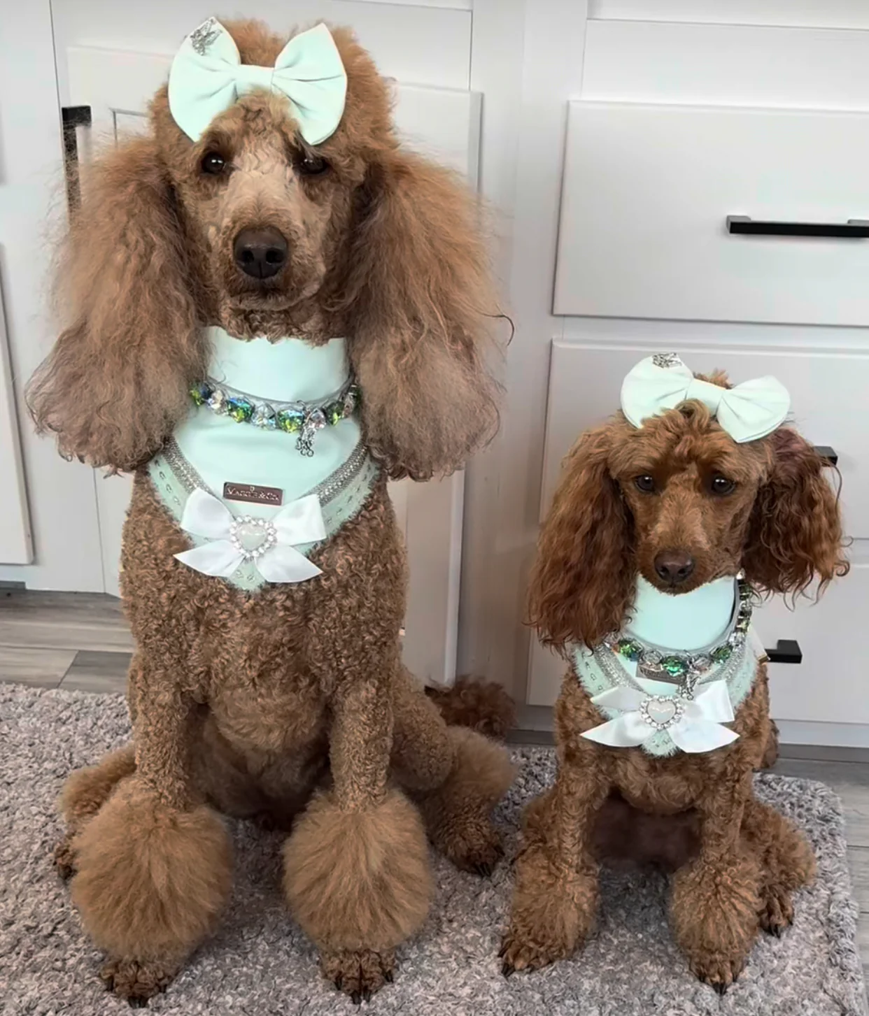 Fairies Leather Collection: Breathtaking at Breakfast