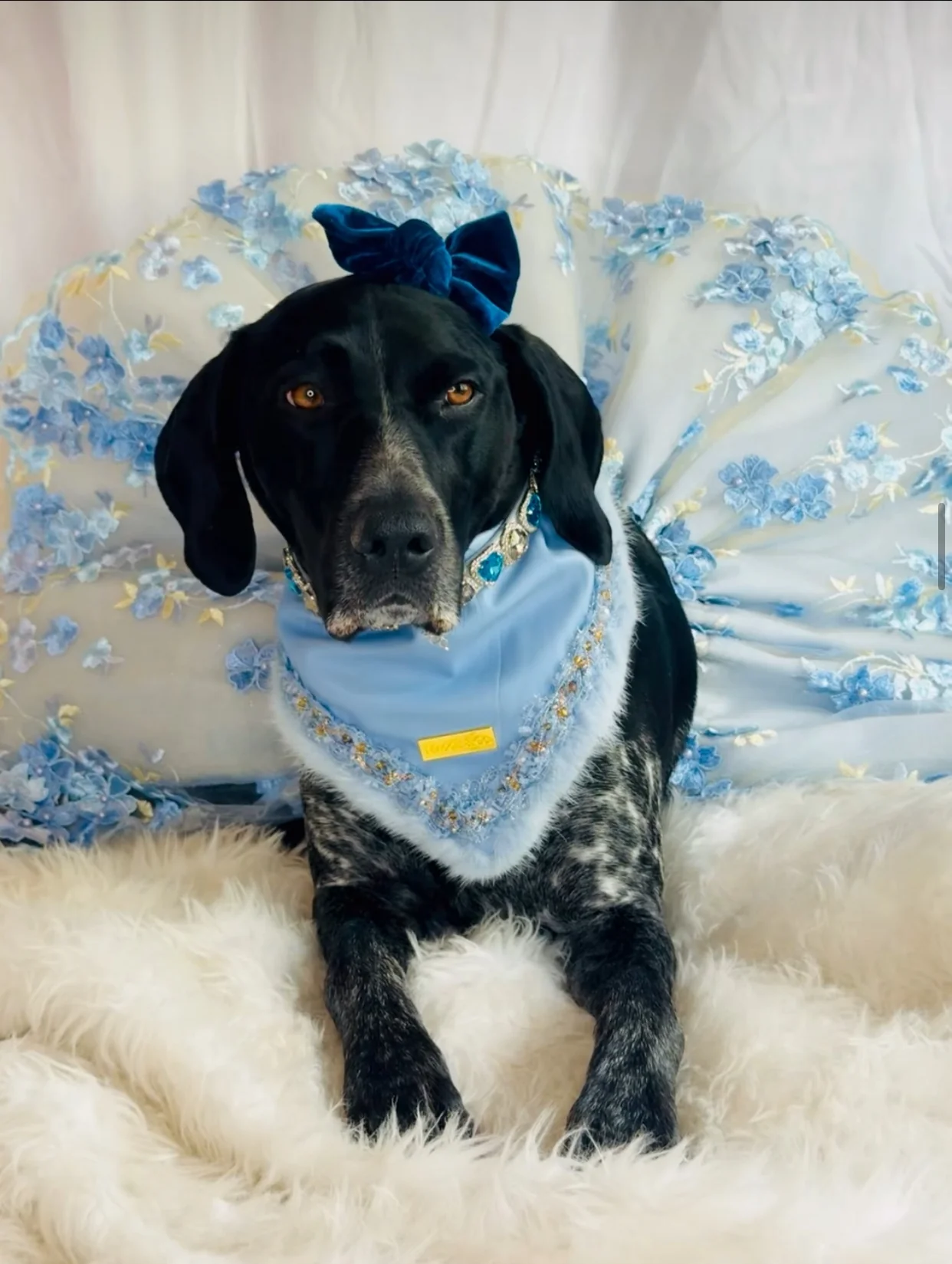 Fairies Leather Collection: Cloud Nine Couture