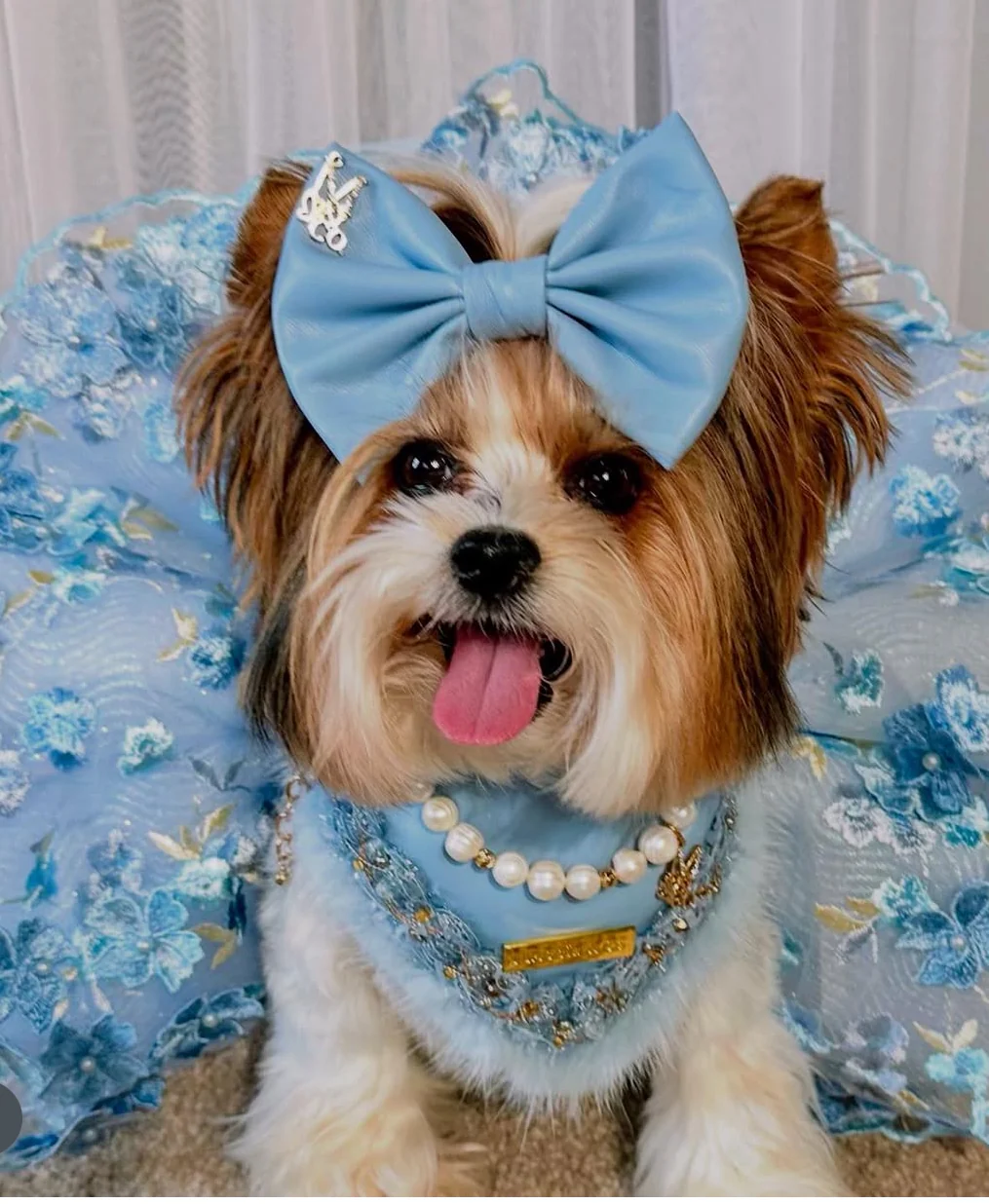 Fairies Leather Collection: Cloud Nine Couture