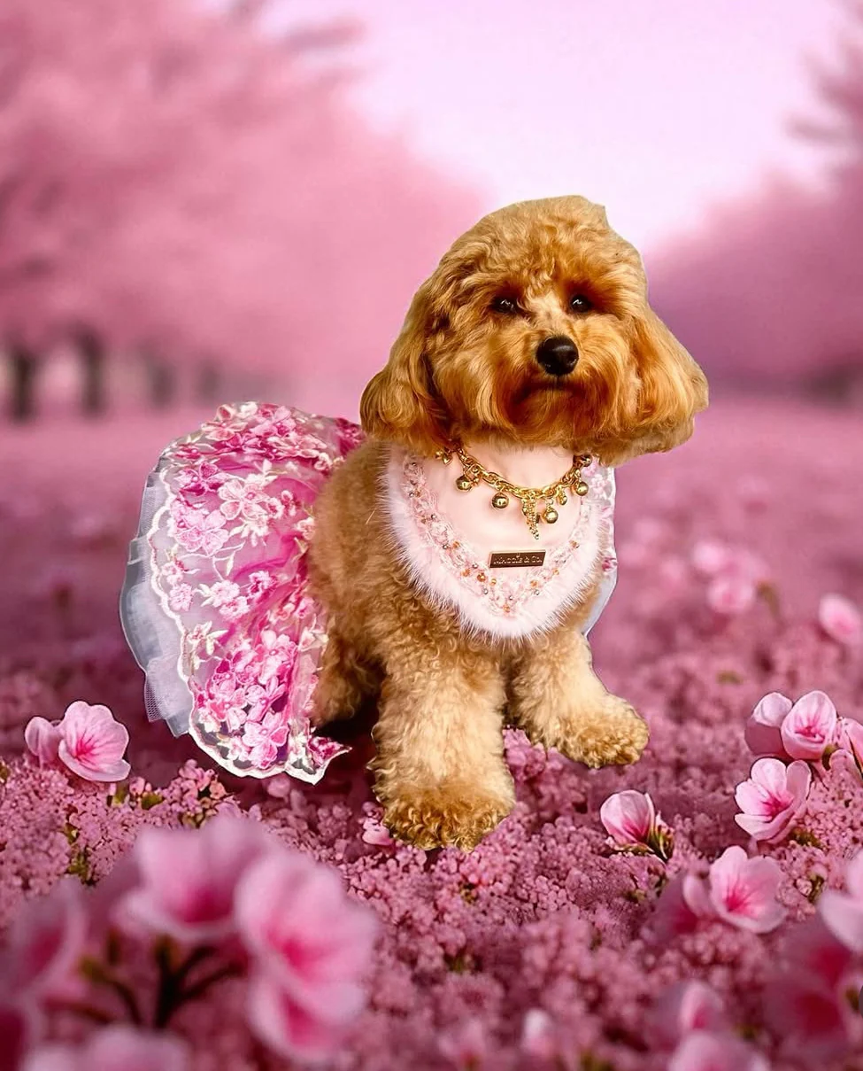 Fairies Leather Collection: Fairy Love