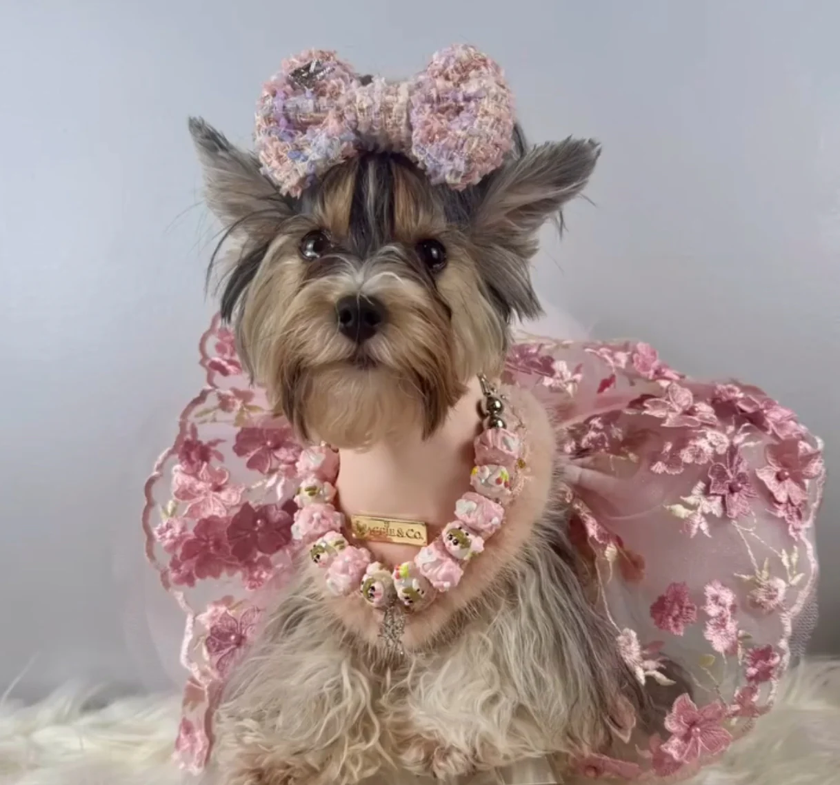 Fairies Leather Collection: Fairy Love