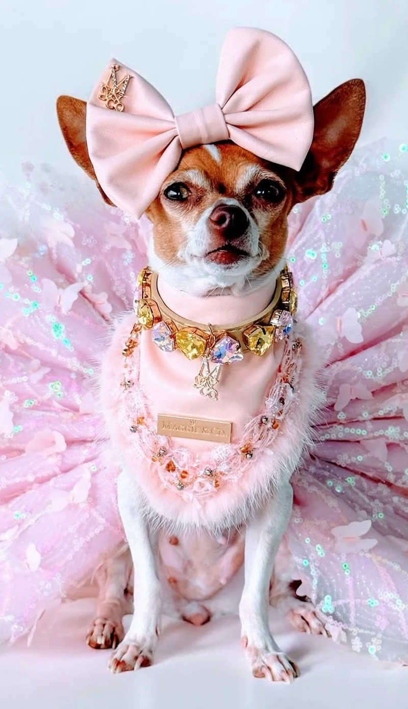 Fairies Leather Collection: Fairy Love
