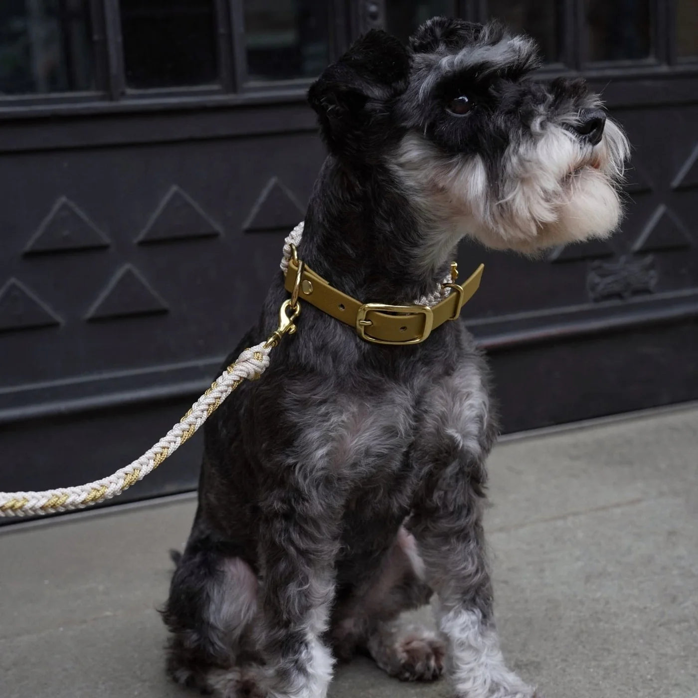 Flor Cream Leash