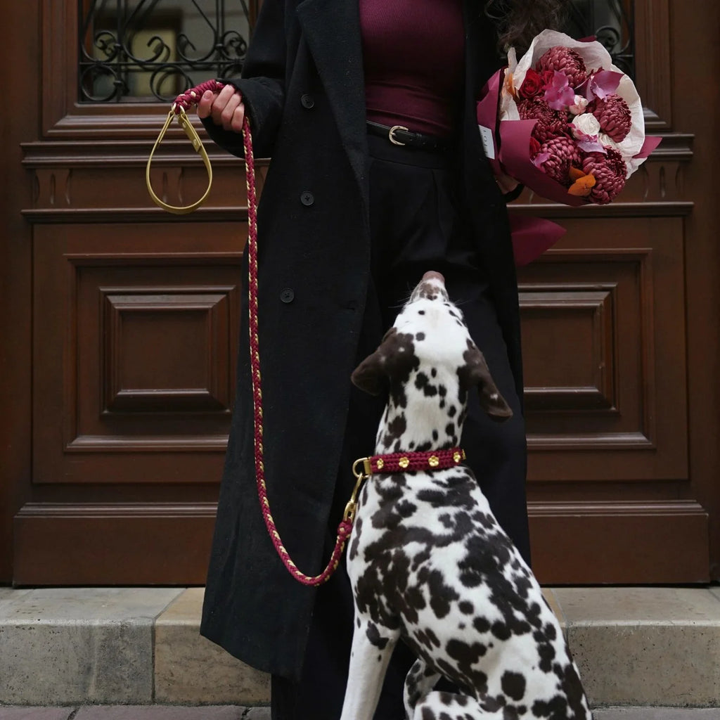 Flor Scarlet Red Leash