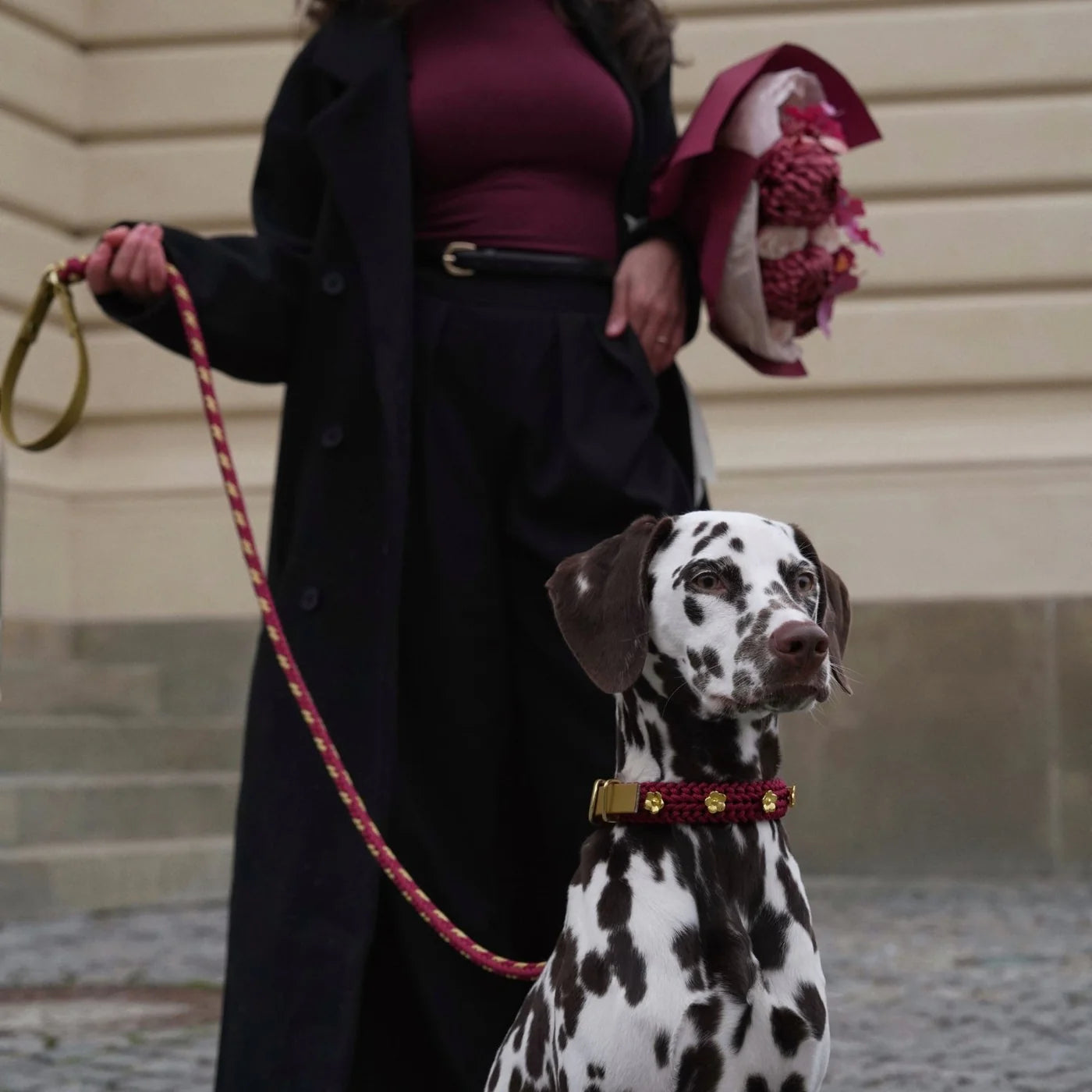 Flor Scarlet Red Collar