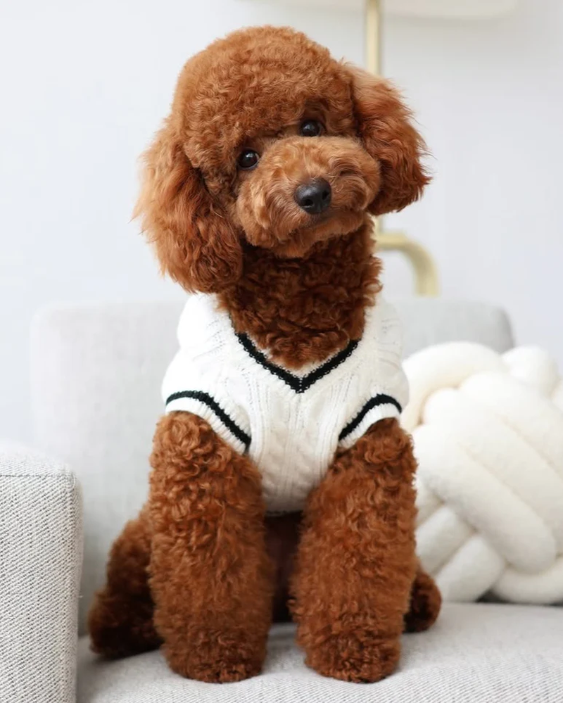 Forty Love Ivory Cable Knit Sweater