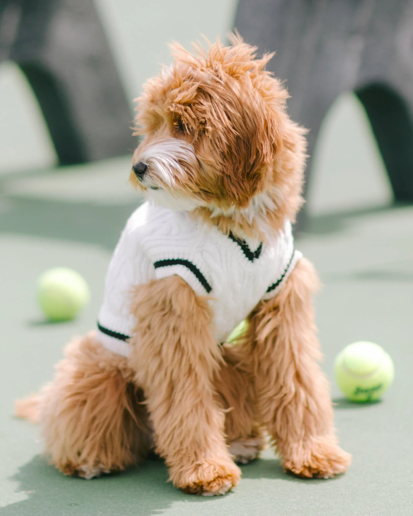 Forty Love Ivory Cable Knit Sweater
