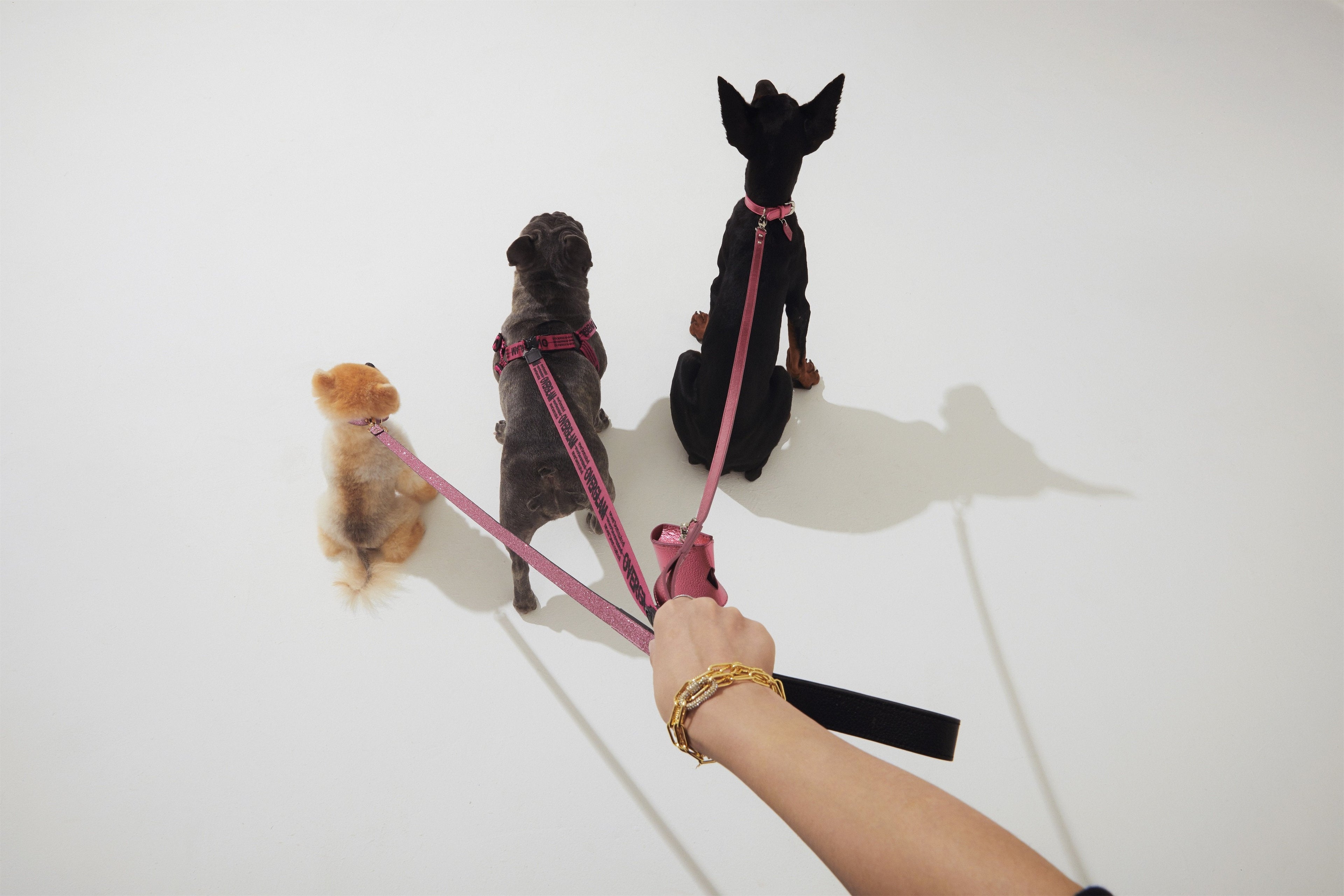 Glitter Lead – Silver or Rose