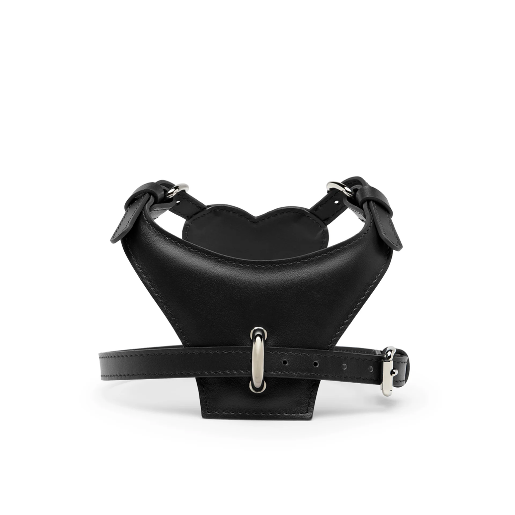 HEART HARNESS