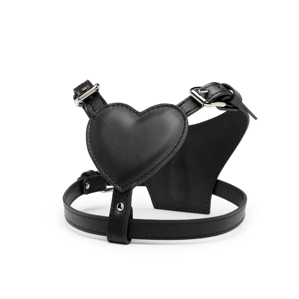 HEART HARNESS